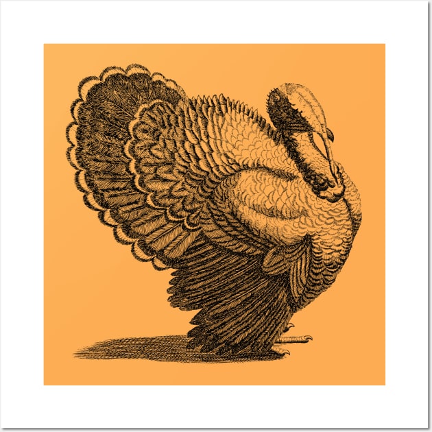 A Turkey by Johan Teyler Wall Art by MelsPlace